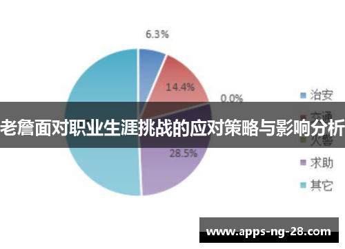 老詹面对职业生涯挑战的应对策略与影响分析