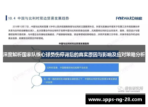 深度解析国家队核心球员伤停背后的真实原因与影响及应对策略分析